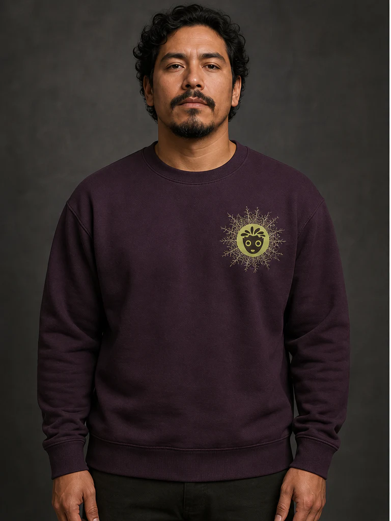 Symbiotic Signal Organic Raglan Sweatshirt product preview