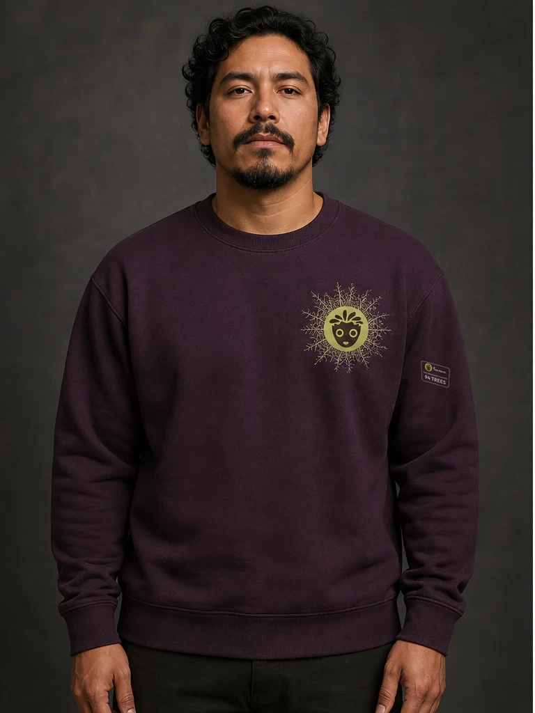 Symbiotic Signal Organic Raglan Sweatshirt product preview